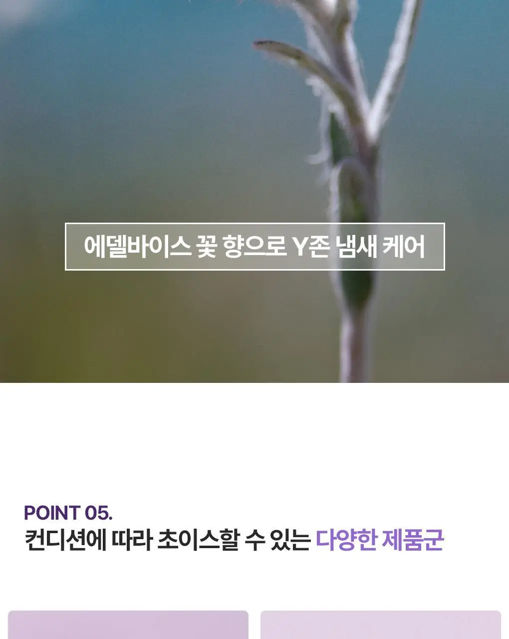 [SOS 8일 집중케어] 유리아쥬 진-8 100ml 상세페이지 15